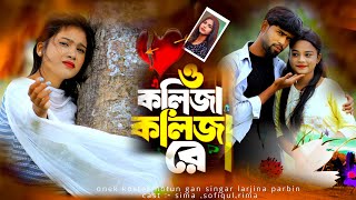 ও কলিজা কলিজা রে  o kolija kolija re  larjina parbin  o kolija kolija re gaan  ns music company [upl. by Oluap]