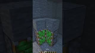 Le PASSAGE SERET De MALADE  😉 Minecraft [upl. by Ahsenyt]