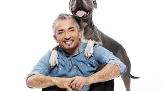 Cesar 911 S02E08 Twice Bitten [upl. by Eppillihp593]