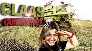 Claas Commandor 114 cs  rice harvesting 2014 [upl. by Joya585]