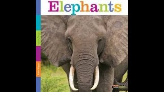 Elephants Teacher models focus on Nonfiction Text Features [upl. by Lehcor669]