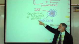 ANATOMY VISCERAL SMOOTH MUSCLE amp CARDIAC MUSCLE HISTOLOGY by Professor Fink [upl. by Judah]