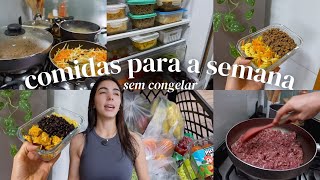 PREPARANDO COMIDA PARA A SEMANA TODA  refeições saudáveis e fáceis para o dia a dia sem congelar [upl. by Pazit]