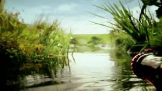 CocaCola  Picnic bugs Commercial HD [upl. by Atirehgram]