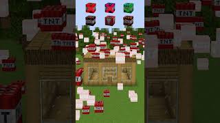 House vs Different TNT Types shorts meme minecraft [upl. by Kired594]