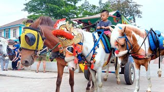 KOMPILASI LAGU NAIK DELMAN DELMAN PURI KEMBANGAN KUDA PURI KEMBANGAN LAGU PELANGI PELANGI LAGU [upl. by Farah88]