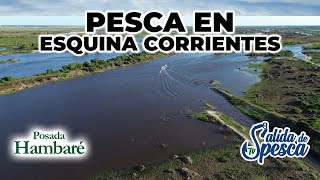 PESCA en ESQUINA CORRIENTES Posada Hambaré nos hace vivir una experiencia única de pesca [upl. by Otrevogir645]