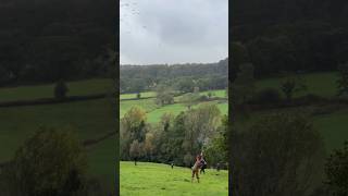 Days like these in the field Day 1 of 2024 at Lamberts Castle Shoot and it was wet [upl. by Llyrrad]