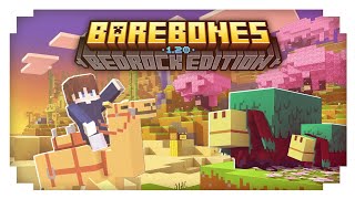 Bare Bones Texture Pack for Minecraft Pocket Edition 120 [upl. by Aelber]