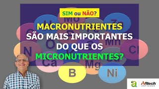 141 MACRONUTRIENTES SÃO MAIS IMPORTANTES DO QUE OS MICRONUTRIENTES [upl. by Neelon]