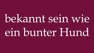 How to Pronounce bekannt sein wie ein bunter Hund Correctly in German [upl. by Ewart611]