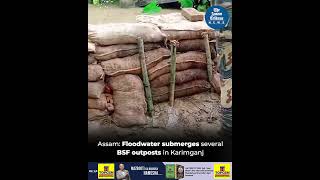 Assam Floodwater submerges several BSF outposts in Karimganj [upl. by Darrick]