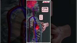 Learn how to Perform CPR amp Save a Life IMotion NEET biology doctor lifesaver nvsir shorts cpr [upl. by Nesnar166]