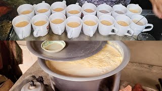 Maltova Malai Tea  Milk Tea  Famous Tea  Street Food [upl. by Haymo]