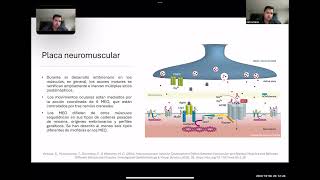 Motilidad Ocular y las Vías Neuronales Relacionadas [upl. by Porty]