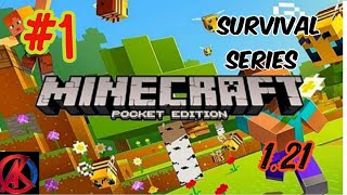 Minecraft 121 Survival Series Ep 1AK BRO [upl. by Isdnil]