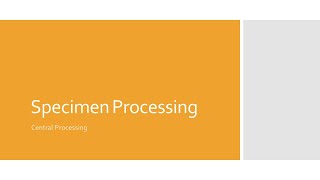 Specimen Processing Central Processing [upl. by Woodall911]