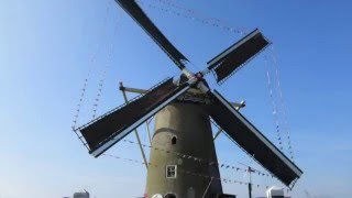 Molen de Windvang op 12 maart [upl. by Jacquetta]