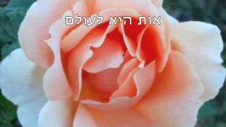 VESHAMRU CANTOR RABBI HAGAY BATZRI hbatzrigmailcom ושמרו [upl. by Swaine]