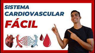 🩸 SISTEMA CARDIOVASCULAR explicación FACIL SISTEMA CIRCULATORIO [upl. by Adnawak]