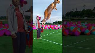 The mascot vibrato assistant placed on thefootball field is popular 🦌 [upl. by Kayne]