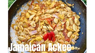 JAMAICAN ACKEE RECIPEJAMAICANCARIBBEANVEGANVEGETARIAN [upl. by Aidnahs705]