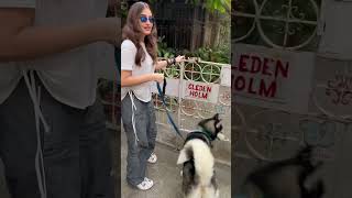 Rasha Thadani’s walk with her pet Alaska in the city is pure heartwarming bliss😍❤️ [upl. by Inoliel]