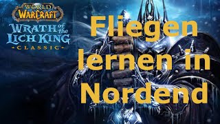 World of Warcraft Classic WOTLK fliegen lernen in Nordend [upl. by Meill]