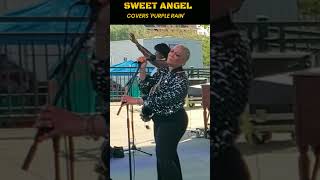 SWEET ANGEL COVERS PURPLE RAIN shorts livemusic booksweetangel [upl. by Sivram42]