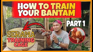 PAANO MAG PULLBACK TRAINING NG SERAMA BANTAM  GUMAWA DIN TAYO NG TRAINING CAGE [upl. by Haleeuqa814]