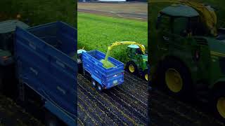 Johndeere 9900i Harvesting Maize maize johndeere 9900i fyp agri shorts viral foryou [upl. by Lainahtan]