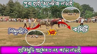 হাতিমুড়ি গ্রামের ৫নং কাড়া লড়াই  Hathimuri ৫no kara larai 2024  kara larai purulia 2024 [upl. by Ddat]