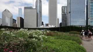 The Lurie Garden with Piet Oudolf [upl. by Annoval]