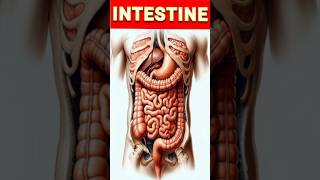 Intestinal obstruction 😊Crohns diseaseshortsvideobio [upl. by Miuqaoj36]