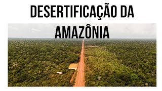 BR 319 e o Ponto de Não Retorno da Amazônia [upl. by Althea]