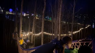 Gatlinburg TN Skybridge Anakeesta Mountain Coaster and so much more [upl. by Valentino]