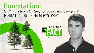 In Fact Is Chinas reforestation a giant greenwashing project [upl. by Asseralc283]