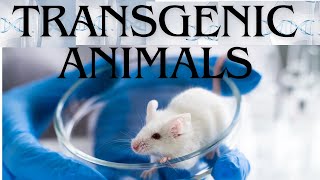 Transgenic Animals [upl. by Shipman]