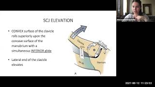 Sternoclavicular and Acromioclavicular Biomechanics amp Kinesiology Webinar [upl. by Villiers909]