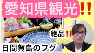 愛知県観光❕❕ 日間賀島で最高のフグを食べつくす [upl. by Lange908]