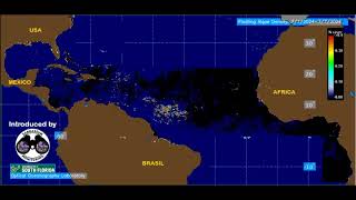 2024 Sargassum Monitoring® Official  Sargassum Seaweed Evolution july 2024 [upl. by Beatrisa578]