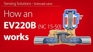 How an EV220B NC 15–50 indirect servooperated solenoid valve works  Working animation [upl. by Cobbie]