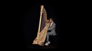 JS Bach  Italian Concerto BWV 971  Andreas Mildner harp [upl. by Gurolinick]