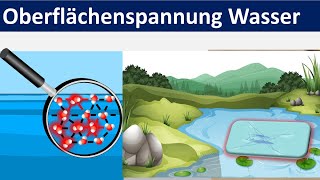 Oberflächenspannung von Wasser Biologie  Chemie Mittelstufe [upl. by Kali]