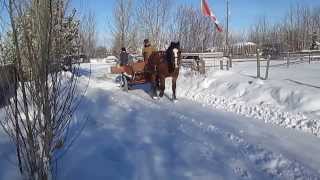 Horsedrawn snowplow2 [upl. by Agbogla718]