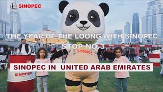 The Year of the Loong with Sinopec Stop NO3 [upl. by Oicnerual255]