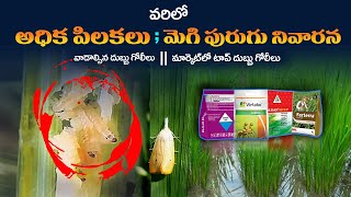 Varilo Mogi purugu Nivarana Explained In Telugu  Varilo pilakalu baga ravalante em Cheayali [upl. by Oinotnas358]