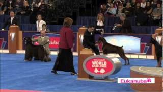 Eukanuba World Challenge Finals Part 3 [upl. by Leschen]