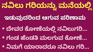 ನವಿಲುಗರಿಯನ್ನು ಮನೆಯಲ್ಲಿ ಇಡುವುದರಿಂದ ಆಗುವ ದುಷ್ಪರಿಣಾಮಗಳು UsefulInformationInKannada ManasinaKadambari [upl. by Yzmar]