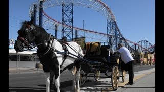 Horse Drawn Carriage Ride along the Golden Mile Blackpool [upl. by Siraved]